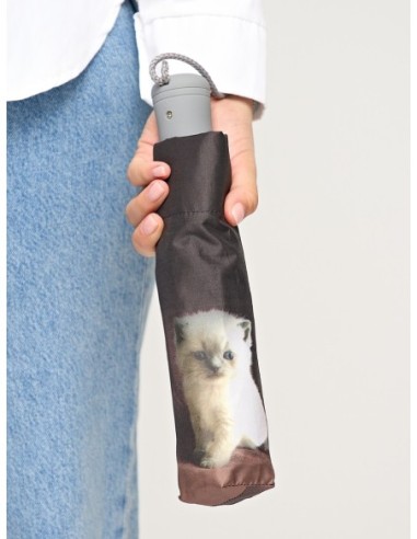 Купить зонт женский Fulton R346-3362 Cutekitty в Надежная Джинса