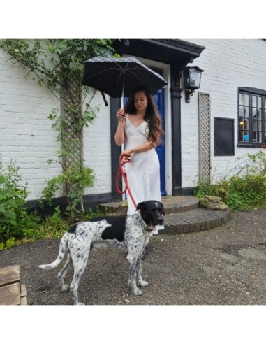 L501-4479 SmileySpot (Смайлы) Зонт женский механика Fulton