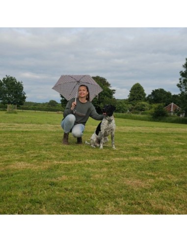 L501-4478 FlowerCheck (Цветная клетка) Зонт женский механика Fulton