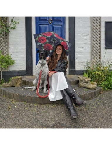 L501-4480 HugeRose (Большая роза) Зонт женский механика Fulton