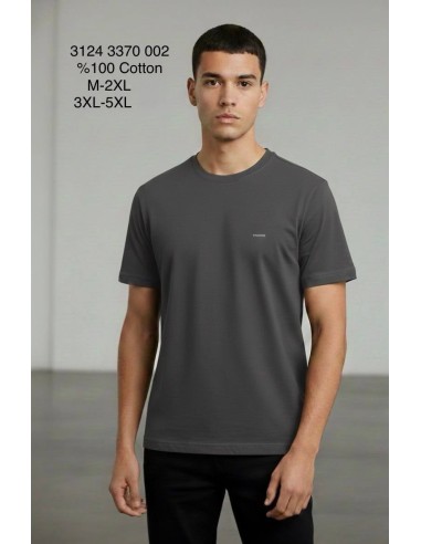 Футболка мужская Vigoss 3124-3370-002