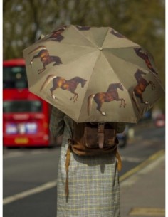 L849-4389 StubbsWhistlejacket (Уистлиджейкет,Д.Стаббс) Зонт женский механика Fulton 2