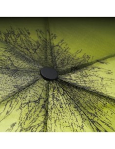 Q25825 (Трава) Зонт женский автомат Henry Backer 2