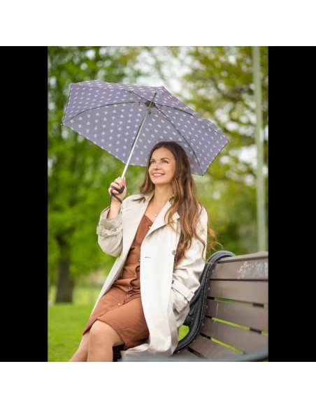 L501-4123 SidneySquirrel (Белки) Зонт женский механика Fulton