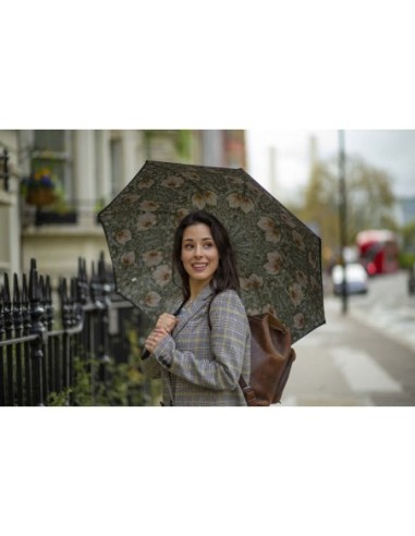 L856-4368 PimpernelBayleafManilla (Первоцвет) Зонт женский трость Morris Co Fulton