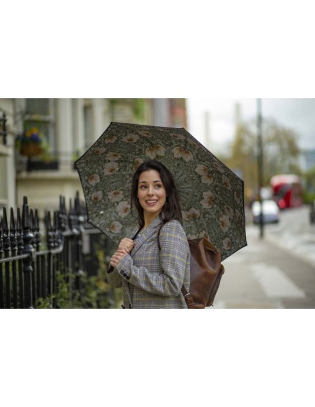 L856-4368 PimpernelBayleafManilla (Первоцвет) Зонт женский трость Morris Co Fulton